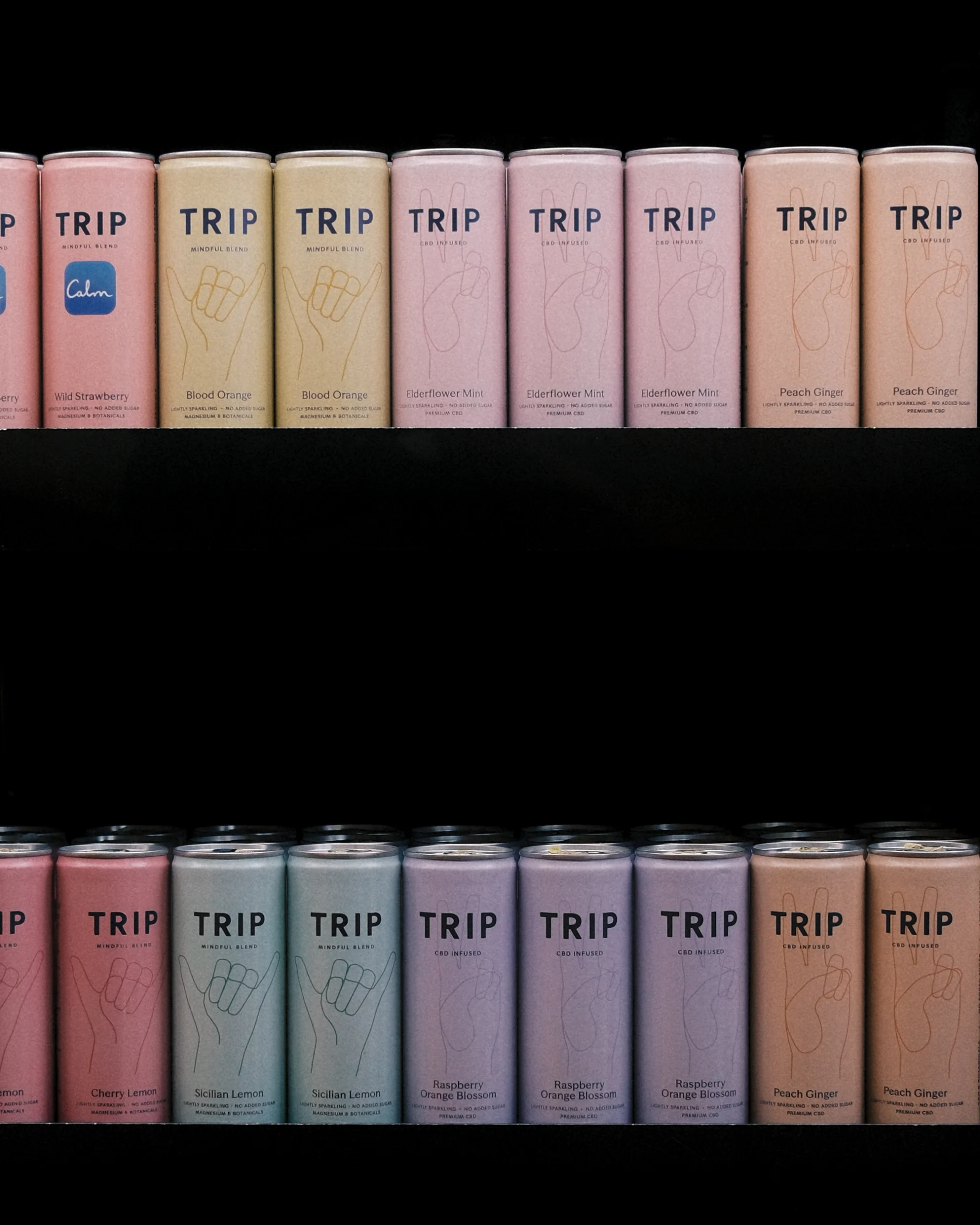 Trip